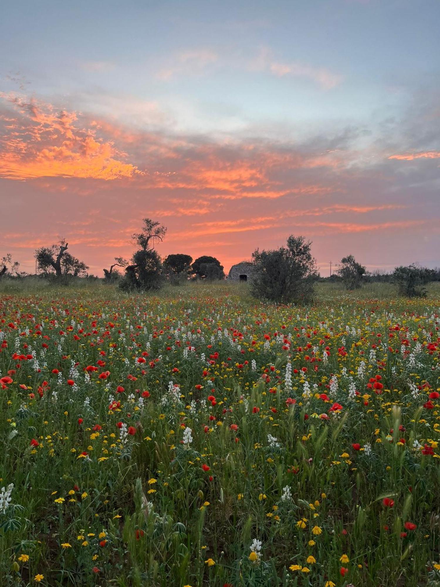 Agriturismo Villa Coluccia Martano Buitenkant foto